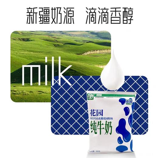 新疆花园纯牛奶（利乐枕箱装）一箱20袋 商品图1