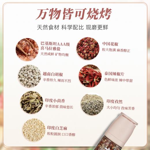 喜马拉雅烧烤复合盐72g/罐 商品图2