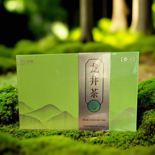 【特惠】2024中茶特渠版龙井礼盒160g 商品图1
