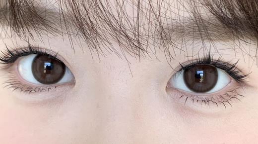 Monstercon半年抛--实用坚果 商品图4