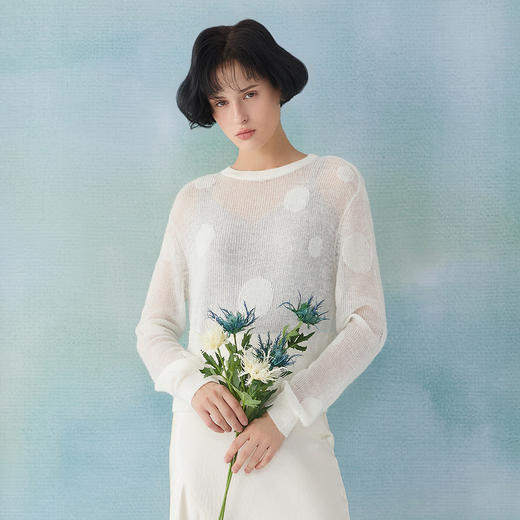 谜底套头针织衫长袖女2025春新品圆领提花微透上衣短款251MZ0396 商品图0