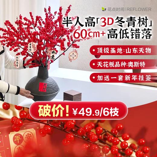 【新年祈福】爆果冬青树 2棵 | 新客福利 商品图0