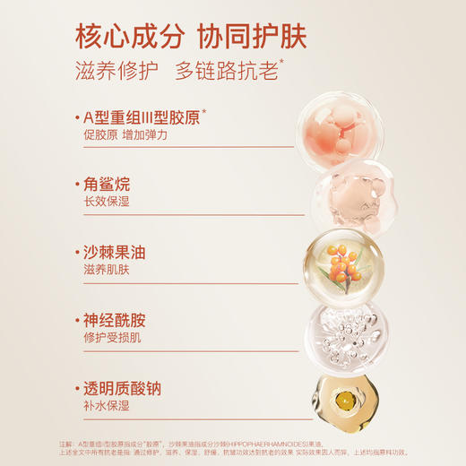 奢思雅酵母赋能系列 商品图8