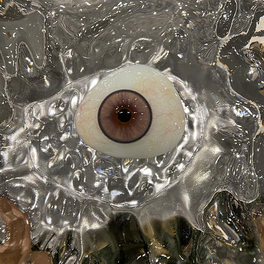 serltyca  doll感粉 半年抛 两片 14.5mm 参考着色13.8mm 基弧8.5 含水40% 新锐国货 商品图3