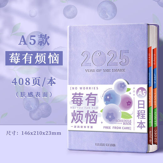 A5日程本2025年学生时间管理规划本商务办公效率记事本节日伴手礼 商品图5
