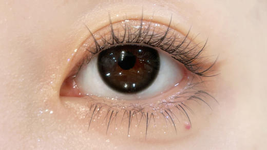 Monstercon半年抛--黑糖救星 商品图3