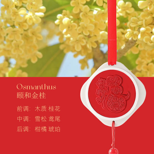 【画蛇添福，福气满满~巳巳如意，生生不息】画蛇添福香薰石膏片礼盒 节日喜庆伴手礼挂件 持久除臭蛇年限定香氛-QQ 商品图6