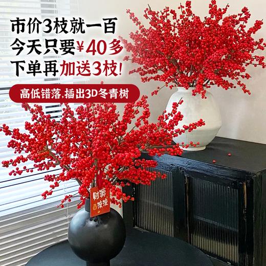 【新年祈福】爆果冬青树 2棵 | 新客福利 商品图3