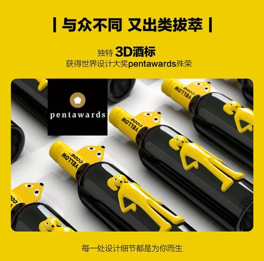 大黄狗智利进口大黄狗西拉干红葡萄酒 750ml 单支750ml 【直选好酒】  KLJB 商品图2
