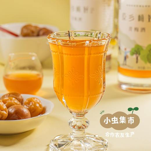 生态青梅酒 500ml/瓶 | 合作农友生产，产自从化仙娘溪，生产者：原乡梅好合作社 *【公平贸易农人定价】 商品图7