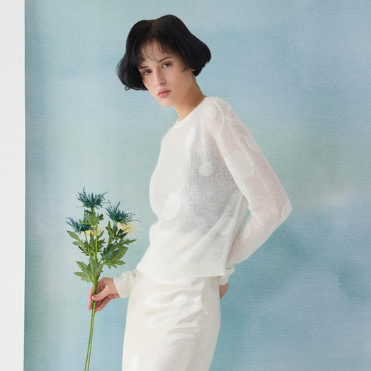 谜底套头针织衫长袖女2025春新品圆领提花微透上衣短款251MZ0396 商品图1