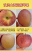 【xzg】9斤35元！山西高坡冰糖心丑苹果快递发货！ 商品缩略图2