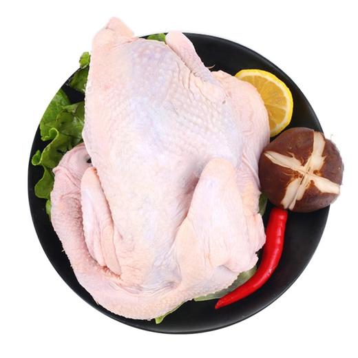 [上海企团]苏食苏北老母鸡 商品图0