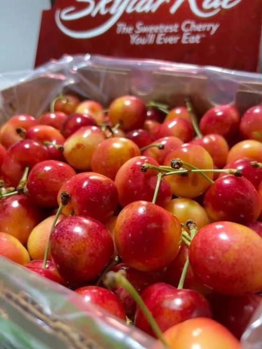 今年首批|车厘子届的“劳斯莱斯”黄金车厘子！全球顶流的美味 超好吃！ 商品图2