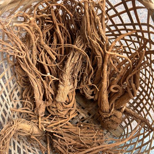 【积分兑换】010当归  【不熏硫  妇女之宝 香气浓郁 一整根滋养更全面【国家森林保护公园】 丽江老君山 高海拔 商品图3