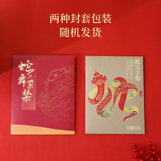 2025乙巳蛇年生肖邮票 大版票/小版票，吉祥喜气新年礼！邮政发行，真品保证 商品图5