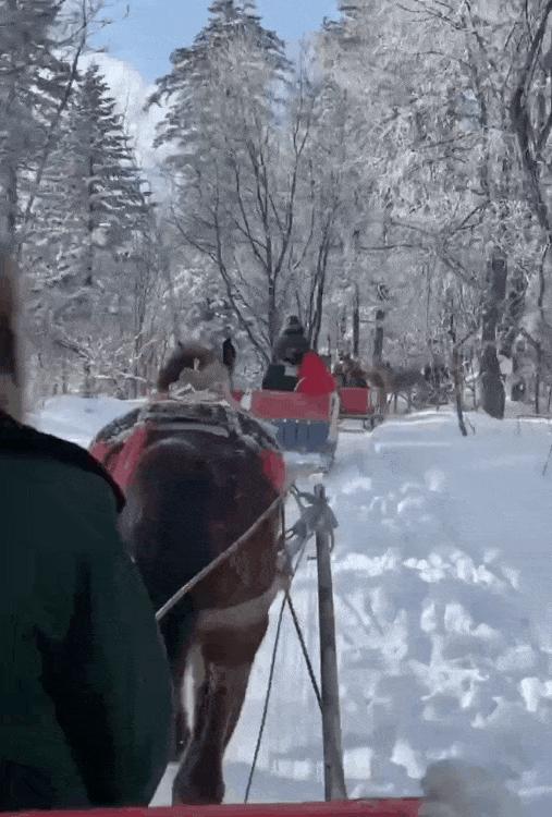 2026年寒假丨6天5晚【哈亚雪】深度雪乡38H 商品图4