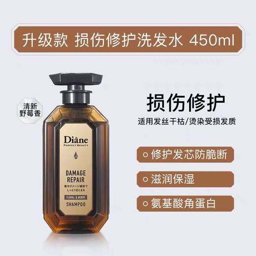 【原装进口】黛丝恩 致美洗发水/护发素450ml【多种功效可选】 商品图1