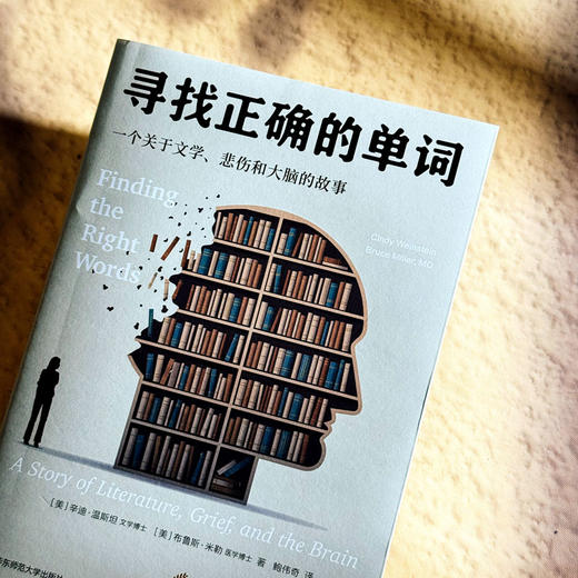 寻找正确的单词 一个关于文学 悲伤和大脑的故事 薄荷实验 商品图5