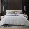 鑫缘 臻绒系列手工白鹅绒被（升级款） EYPY 商品缩略图1