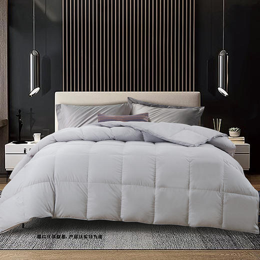 鑫缘 臻绒系列手工白鹅绒被（升级款） EYPY 商品图1