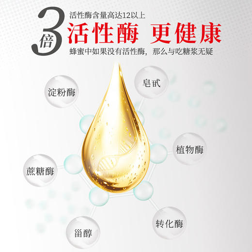 【蜜乐】枇杷/槐花蜂蜜【普通品】单瓶装/礼盒装 商品图4