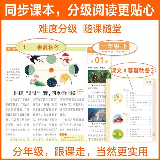 大语文知识画报少年报纸杂志2025全年订阅52期小学同步人教版课本课文阅读一期一课课前预习知识拓展 商品图3