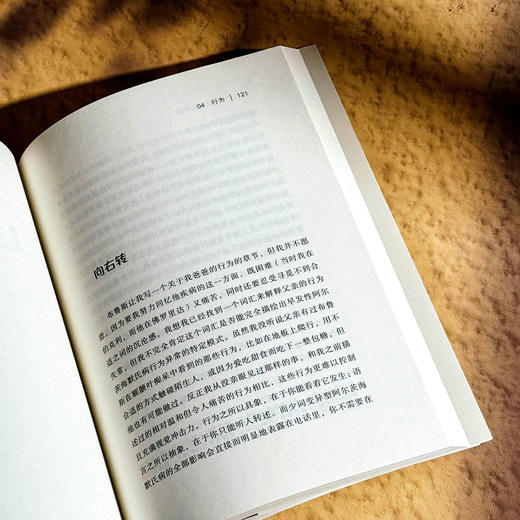 寻找正确的单词 一个关于文学 悲伤和大脑的故事 薄荷实验 商品图12