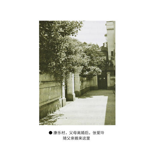 花开花落张爱玲 淳子 著 三联书店官方旗舰店 商品图4