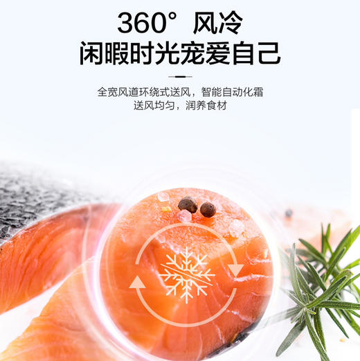 海尔（Haier）冰箱BCD-476WGHTDEDXM 商品图10