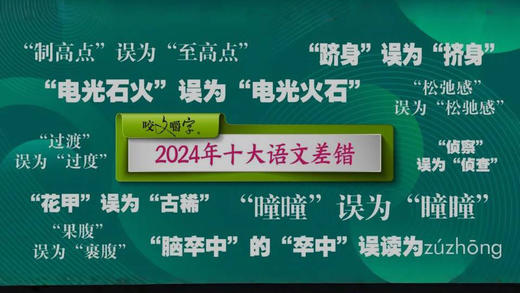 2024年十大语文差错 商品图0