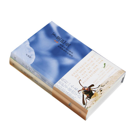 下里巴虫 昆虫王国 时代的昆虫记 卢跃刚 著 三联书店 商品图2