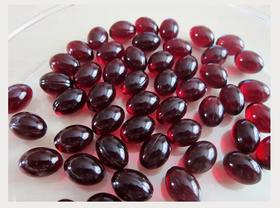 AY嘉裕荣南极磷虾油