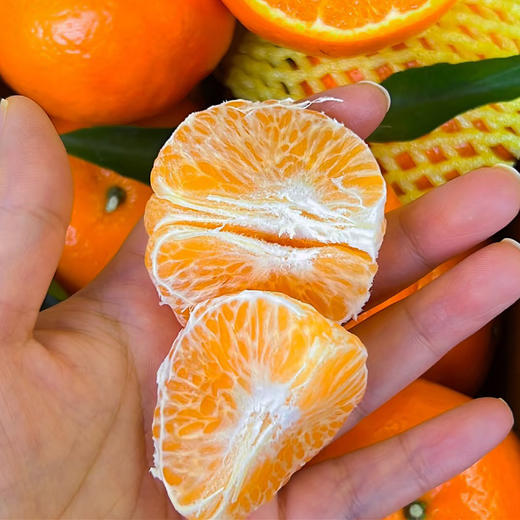 【礼盒装】】南恩沃柑（特级）5Kg/件 商品图2