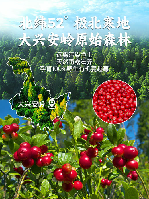 每日乔安·有机野生蔓越莓原浆 不加一滴水只有蔓越莓 源自大兴安岭 商品图3