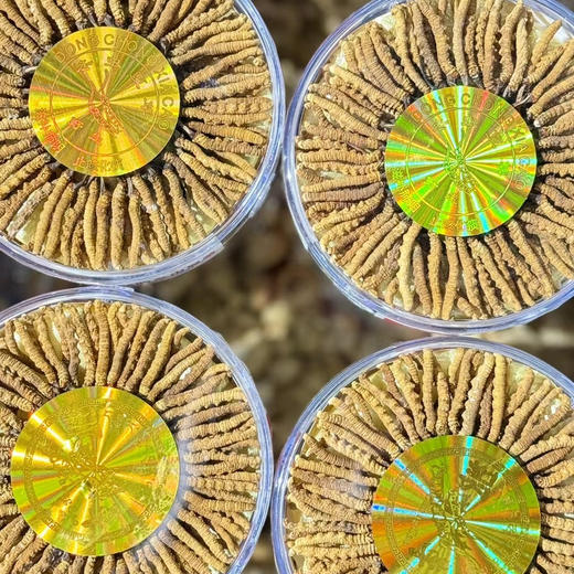 【下单任何规格虫草送野生羊肚菌50克体验装】那曲冬虫夏草 藏地干货 商品图0