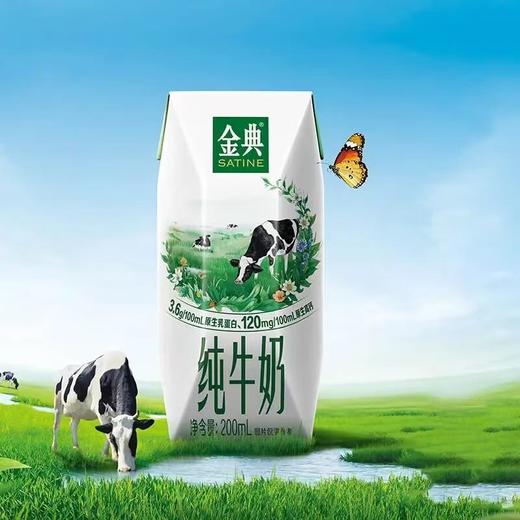 伊利金典纯牛奶200ml*12 商品图3