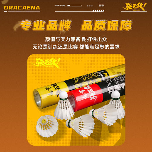 【均衡之翼PRO】的幸三段式羽毛球专业耐打鸭毛训练比赛用球 商品图3