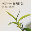 茶鲜森蜜白古树白茶高海拔蜜香小龙珠拍3发4送杯子【森之味】 商品缩略图2