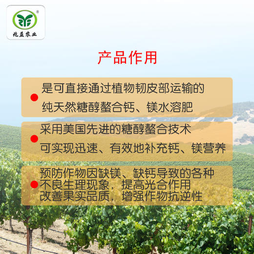 丰利惠 钙镁叶面肥快速有效的补充钙、镁元素 商品图1