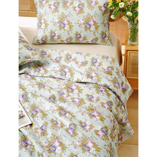 法式玫瑰系列全套一整套亚麻透气亲肤厚单人一体被子 商品图5