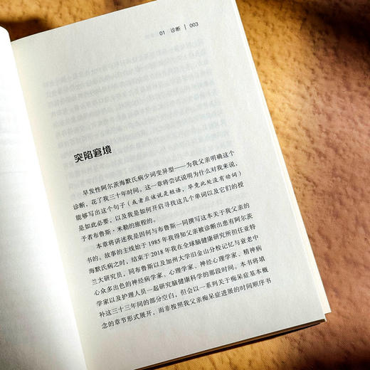 寻找正确的单词 一个关于文学 悲伤和大脑的故事 薄荷实验 商品图9