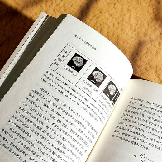 寻找正确的单词 一个关于文学 悲伤和大脑的故事 薄荷实验 商品图10