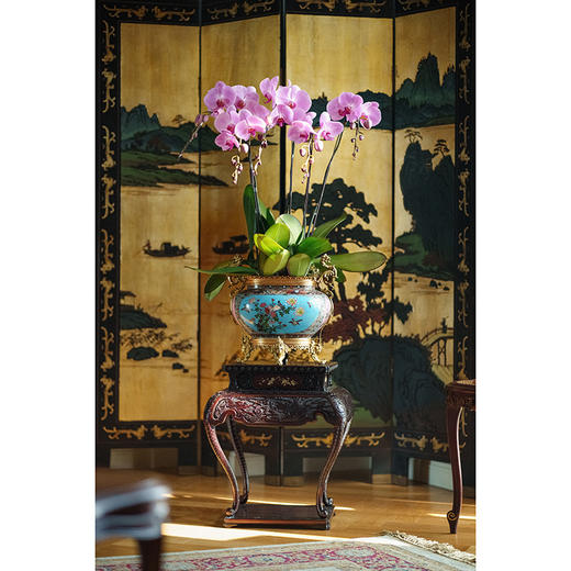 【已售】独角鹿西洋古董 19世纪法国出品东方瑞兽造型铜鎏金精雕镶嵌吉祥花鸟主题铜胎掐丝珐琅花盆套 商品图0