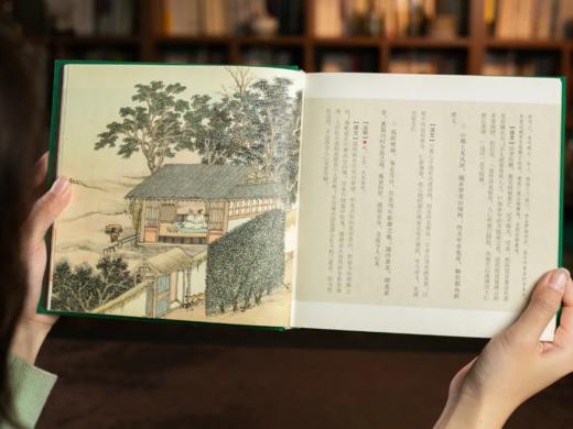 [中国人的治愈之书]《庄子》+《菜根谭》  商品图9