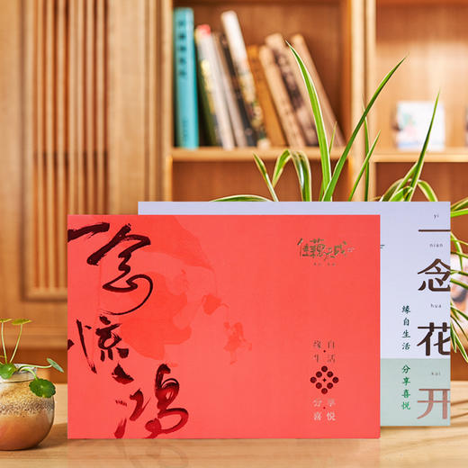 佳藕天成藕粉礼盒套装 正宗杭州西湖特产纯藕粉茶叶蜂蜜礼盒 商品图0