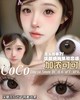 CoCo Choco 加浓可可【年抛】 商品缩略图0