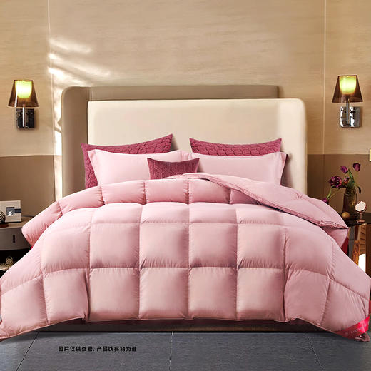 鑫缘 禧绒系列手工白鹅绒被 EYPW 商品图0