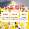 2盆 荔枝山茶花+6颗 拼色水仙种球｜新客福利 商品缩略图3
