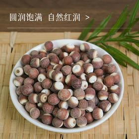 【新货】万物本草肇庆芡实  红皮大果鸡头米 不熏硫